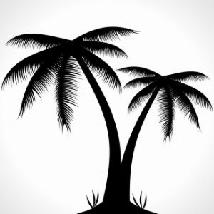 black-silhouette-palm-tree_98598